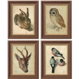 Albrecht Dürer: 4 Tierbilder im Set, gerahmt