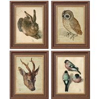 Albrecht Dürer: 4 Tierbilder im Set, gerahmt