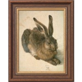 Albrecht Dürer: Bild 'Junger Feldhase' (1502), gerahmt