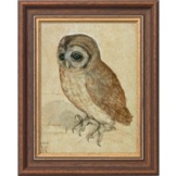 Albrecht Dürer: Bild 'Käuzchen' (1508), gerahmt