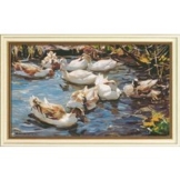 Alexander Koester: Bild 'Neun Enten im Vorfrühling', gerahmt