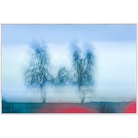 Betty Schmidt: Bild 'Wenn Wurzeln laufen lernen' (2013), gerahmt