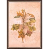 Bruno Bruni: Bild 'A floral fantasy' (1988), gerahmt
