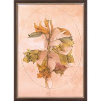 Bruno Bruni: Bild 'A floral fantasy' (1988), gerahmt