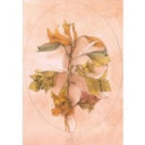 Bruno Bruni: Bild 'A floral fantasy' (1988), ungerahmt