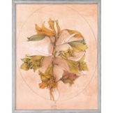 Bruno Bruni: Bild 'A floral fantasy' (1988), Version silberfarben gerahmt
