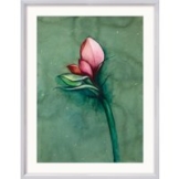 Bruno Bruni: Bild 'Amaryllis' (2022) (Original / Unikat), Version silberfarben gerahmt