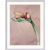 Bruno Bruni: Bild 'Amaryllis II' (Original / Unikat), Version silberfarben gerahmt