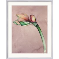 Bruno Bruni: Bild 'Amaryllis II' (Original / Unikat), Version silberfarben gerahmt