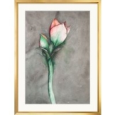 Bruno Bruni: Bild 'Amaryllis III' (Original / Unikat), Version goldfarben gerahmt