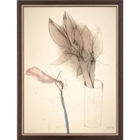 Bruno Bruni: Bild 'Amaryllis und Gaffel' (1987), gerahmt