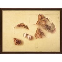 Bruno Bruni: Bild 'Autunno I (Herbstlaub I)', gerahmt