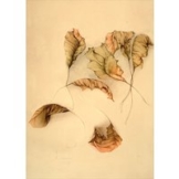 Bruno Bruni: Bild 'Autunno II (Herbstlaub II)' (1987), ungerahmt