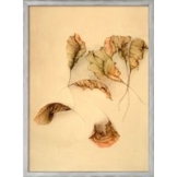 Bruno Bruni: Bild 'Autunno II (Herbstlaub II)' (1987), Version silberfarben gerahmt