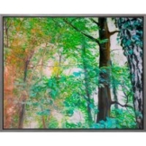 Burkhard Kern: Bild 'Der lichte Wald' (2021) (Original / Unikat), gerahmt