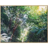 Burkhard Kern: Bild 'Lichtpunkte und Farbklänge' (2018) (Original / Unikat), gerahmt