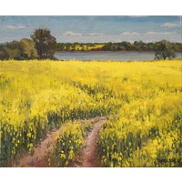 Frank Suplie: Bild 'Raps bei Boknis an der Schlei' (2020) (Original / Unikat), auf Keilrahmen