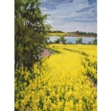 Frank Suplie: Bild 'Raps bei Boknis an der Schlei' (2023) (Original / Unikat), auf Keilrahmen