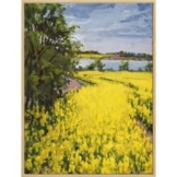 Frank Suplie: Bild 'Raps bei Boknis an der Schlei' (2023) (Original / Unikat), gerahmt