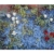 Frank Suplie: Bild 'Vergissmeinnicht, weiße und rote Tulpen' (2020) (Original / Unikat), auf Keilrahmen