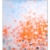 Frederic Paul: Bild 'Orange Lotus' (2024) (Original / Unikat), gerahmt