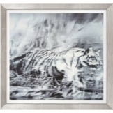 Gerhard Richter: Bild 'Tiger' (1965), Version silberfarben gerahmt