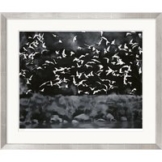 Gerhard Richter: Bild 'Vögel' (1964), Version silberfarben gerahmt