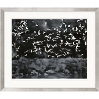 Gerhard Richter: Bild 'Vögel' (1964), Version silberfarben gerahmt