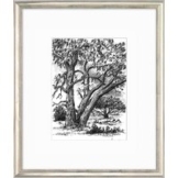 Günter Grass: Bild 'In der Heide' (2006) - aus Bilderzyklus 'Moener Tagebuch', gerahmt