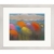 Kani Alavi: Bild 'Leuchtendes Blumenfeld' (Original / Unikat), gerahmt