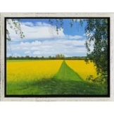 Leo Windeln: Bild 'Rapsfeld im Frühling' (2025) (Original / Unikat), gerahmt