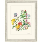 Oskar Kokoschka: Bild 'Sommerblumenstrauß mit Mannstreu', 1969, gerahmt