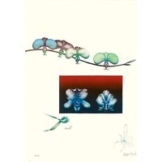 Paul Wunderlich: Bild 'Orchidee II', WVZ-Nr. 725, ungerahmt