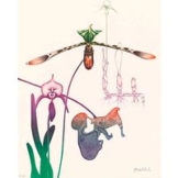 Paul Wunderlich: Bild 'Orchidee III', WVZ-Nr. 726, ungerahmt