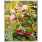 Ute Meyer: Bild 'Seerosenblüte im Juli' (2025) (Original / Unikat), gerahmt